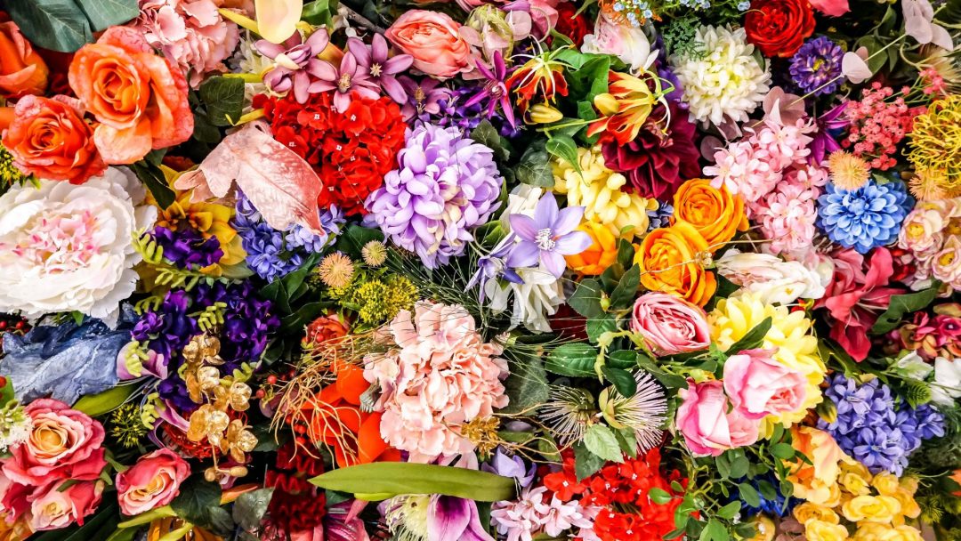 Flower Image